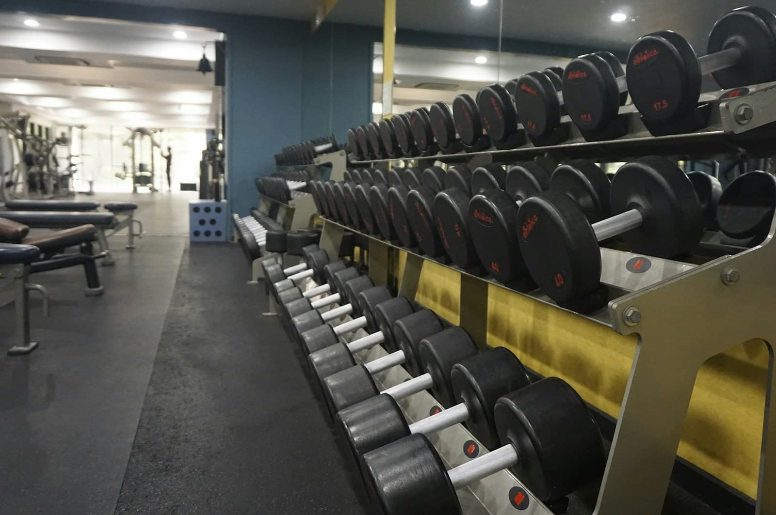 Rows of dumbbells arranged on a rack in a gym